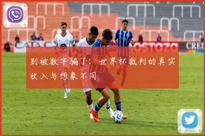 别被数字骗了：世界杯裁判的真实收入与想象不同