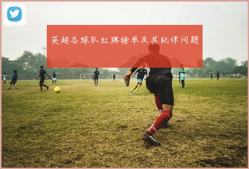 英超各球队红牌榜单及其纪律问题