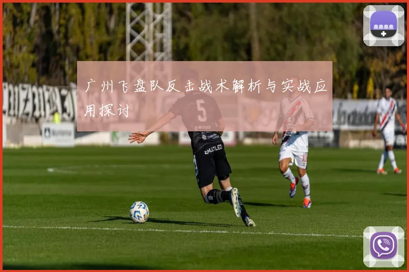 广州飞盘队反击战术解析与实战应用探讨